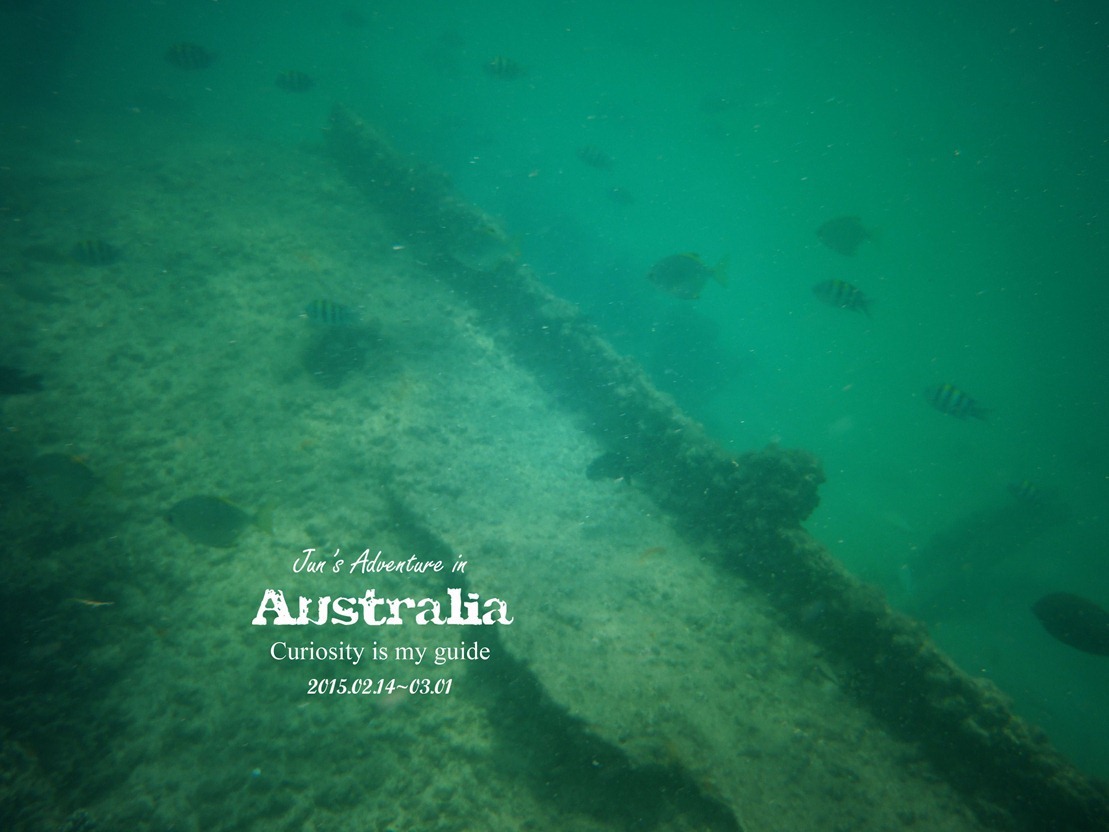 P1010071_副本 P1010071_副本