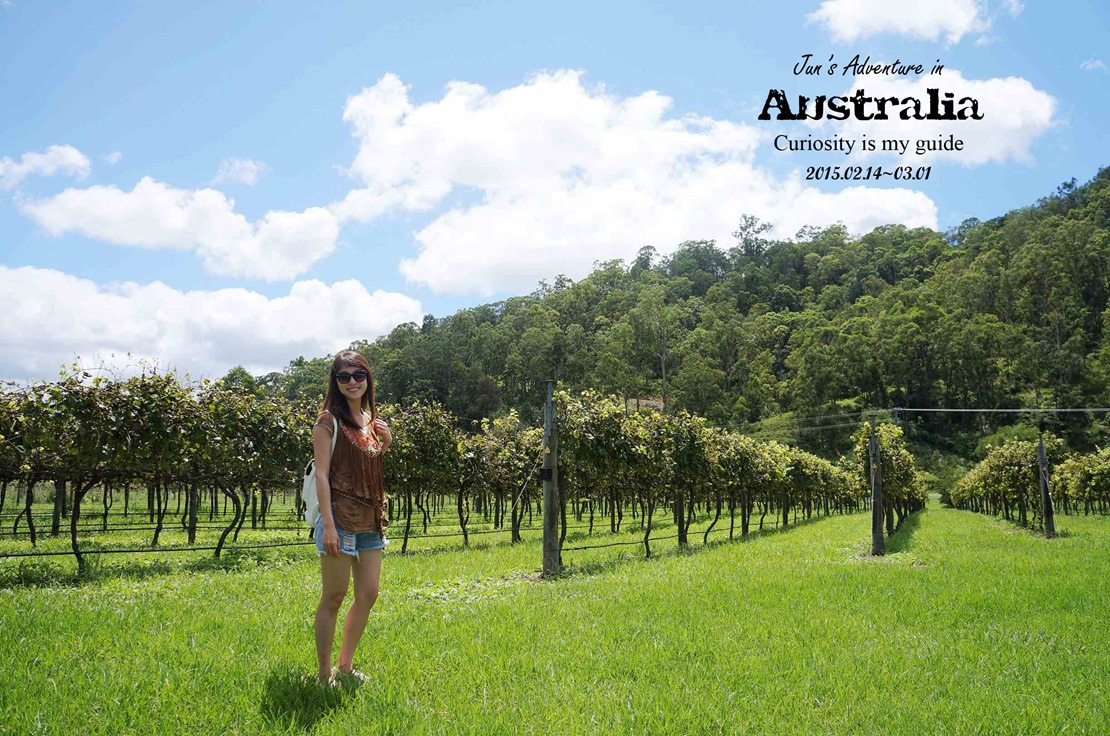 DSC09690_副本 DSC09690_副本