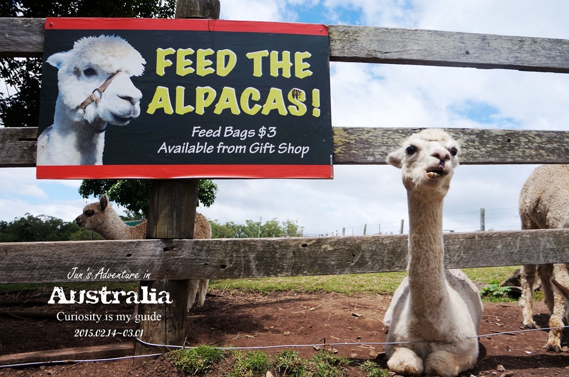 DSC09756_副本 DSC09756_副本