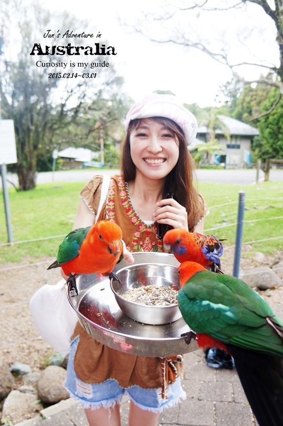 DSC09772_副本 DSC09772_副本