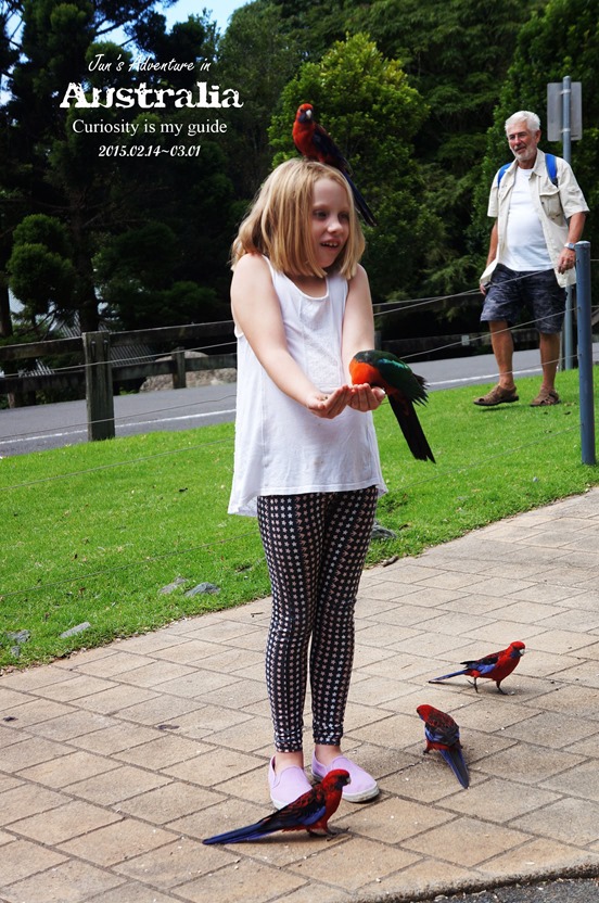 DSC09796_副本 DSC09796_副本