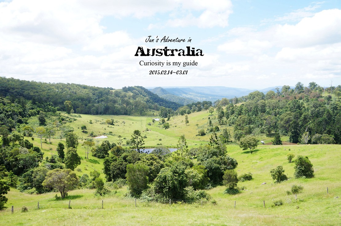 DSC09768_副本 DSC09768_副本