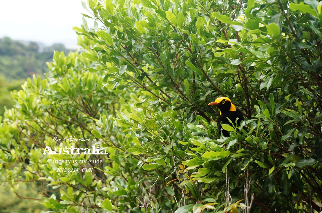 DSC09801_副本 DSC09801_副本