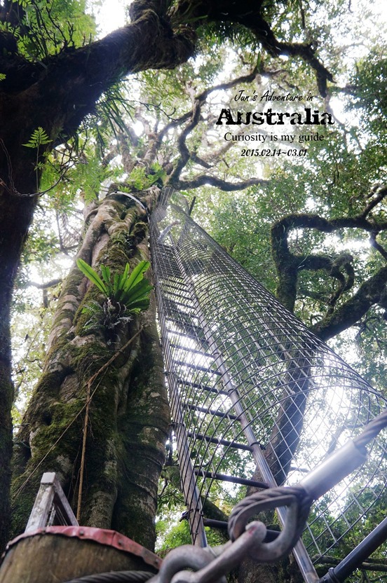 DSC09828_副本 DSC09828_副本