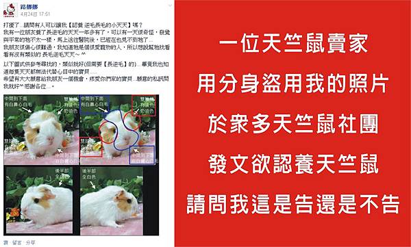 路娜娜 路娜娜