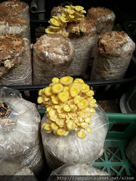 20130608_124039 20130608_124039