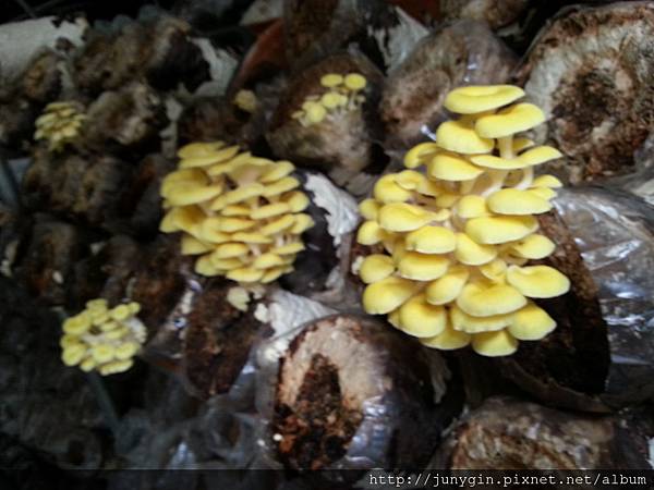 20130608_124052 20130608_124052