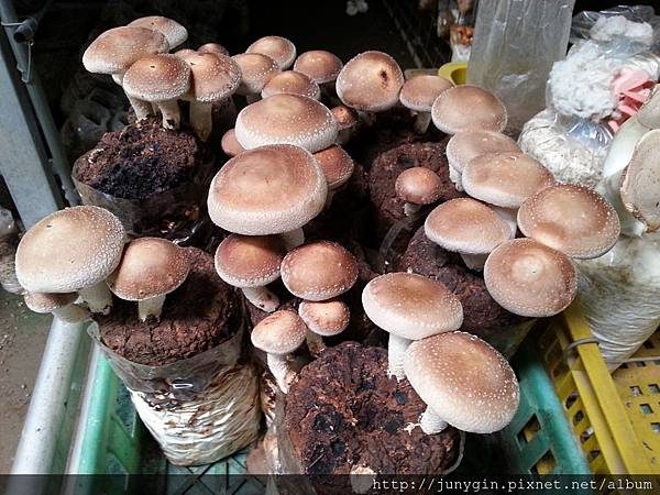 20130608_124102 20130608_124102