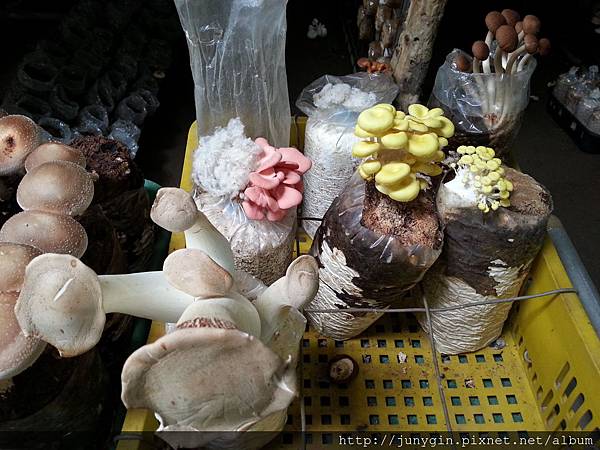 20130608_124107 20130608_124107