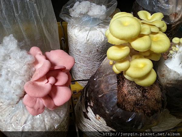 20130608_124112 20130608_124112