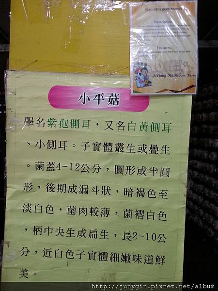 20130608_124129 20130608_124129