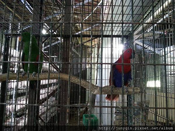 20130608_124207 20130608_124207