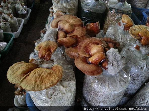 20130608_124223 20130608_124223