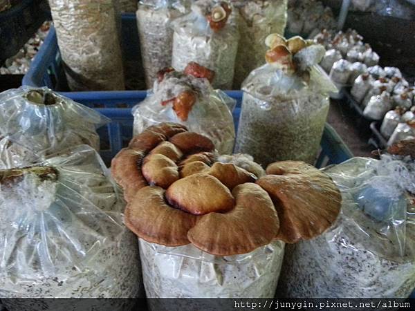 20130608_124232 20130608_124232