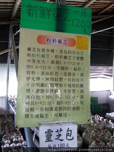 20130608_124246 20130608_124246