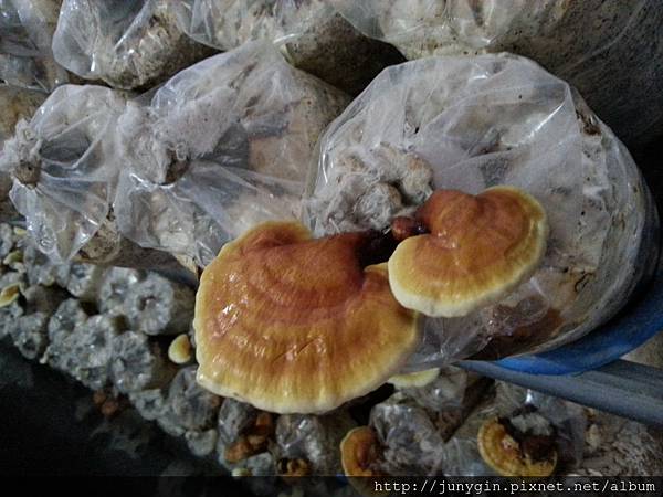 20130608_161931 20130608_161931