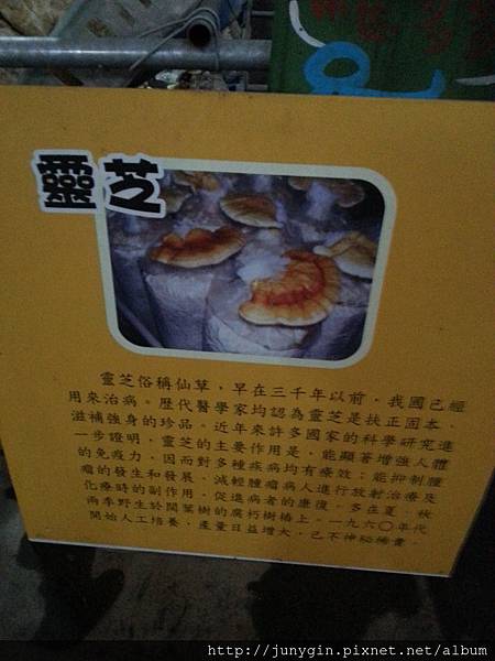 20130608_161940 20130608_161940