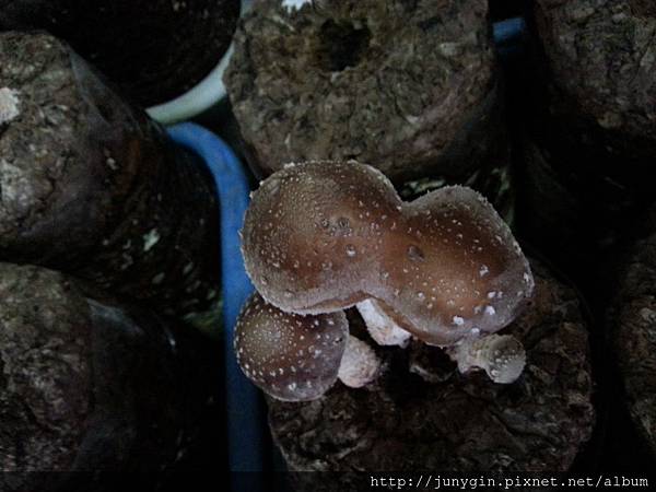 20130608_162021 20130608_162021