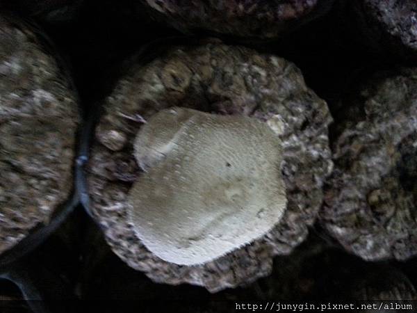 20130608_162036 20130608_162036