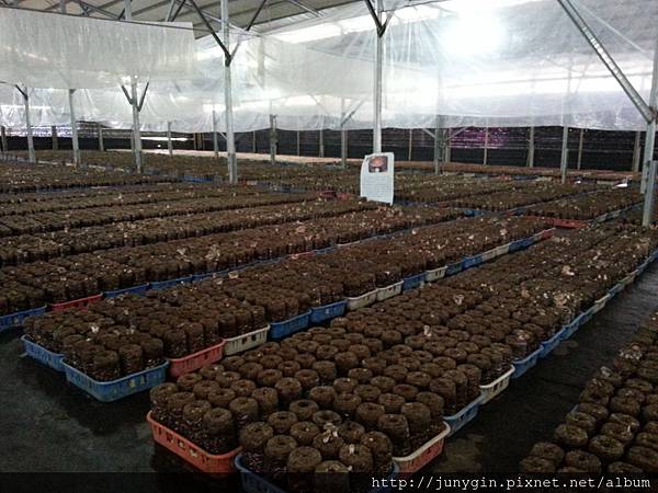 20130608_162058 20130608_162058