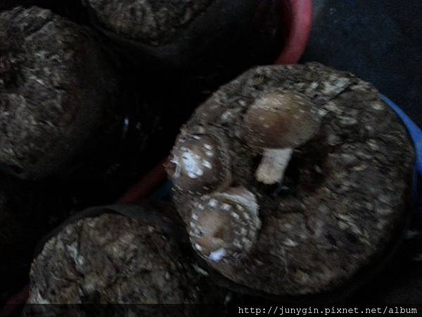 20130608_162105 20130608_162105