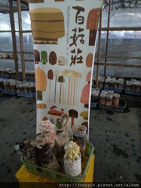 20130608_162131 20130608_162131