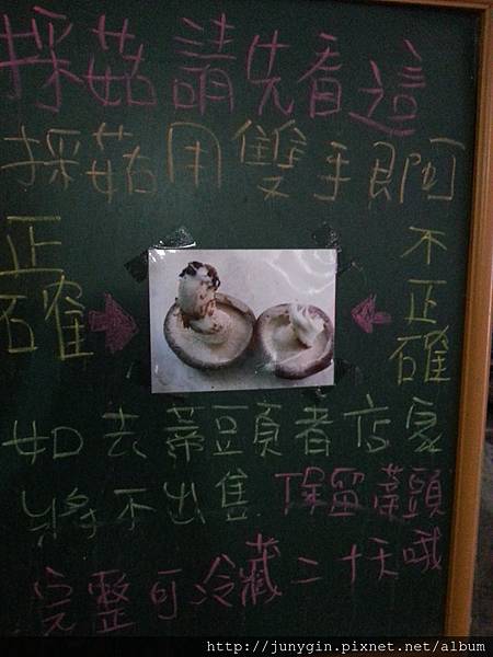 20130608_162136 20130608_162136