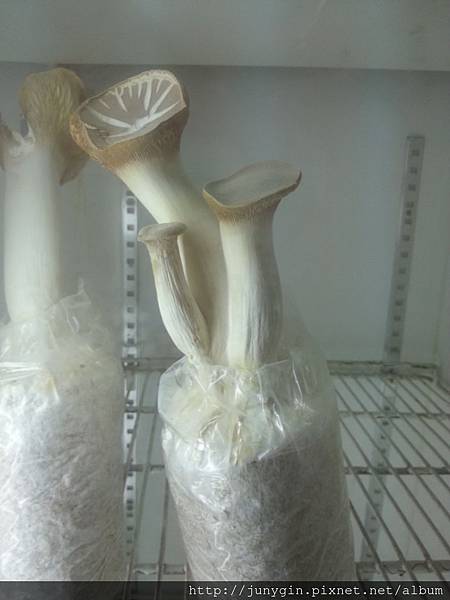 20130608_162156 20130608_162156