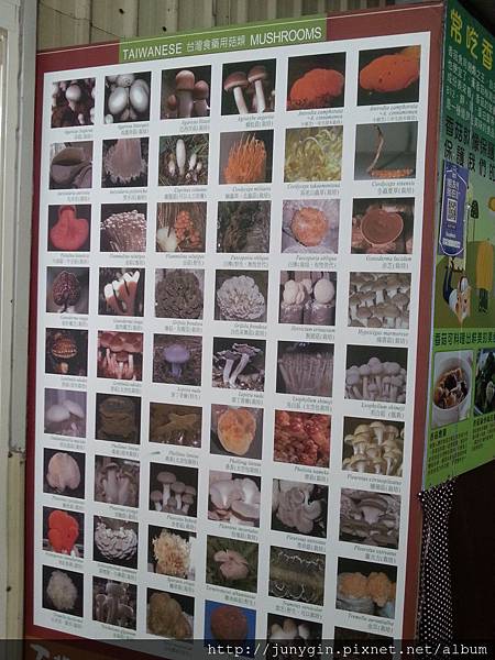 20130608_162413 20130608_162413