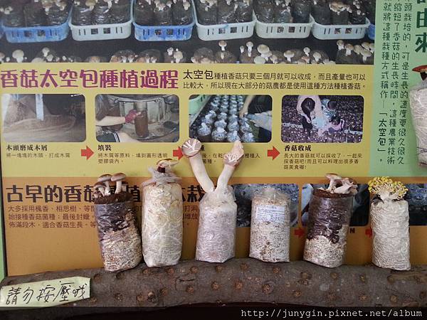 20130608_162430 20130608_162430