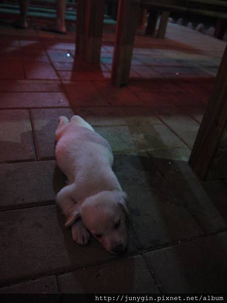 P1220398.JPG P1220398.JPG