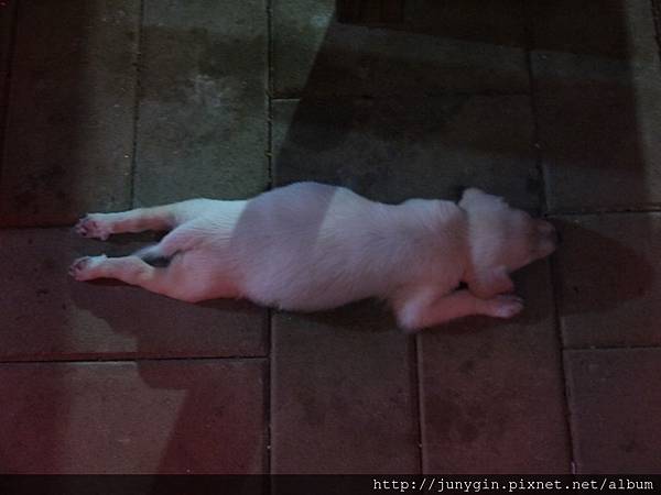 P1220400.JPG P1220400.JPG