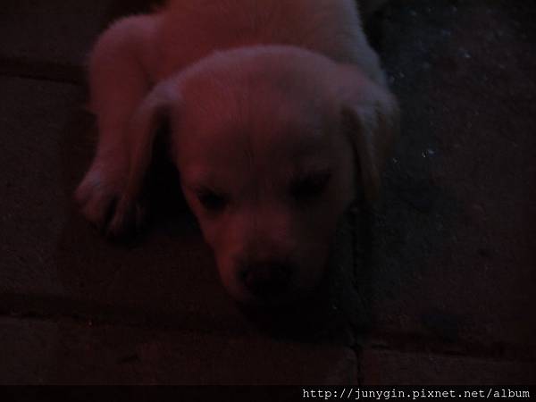 P1220401.JPG P1220401.JPG