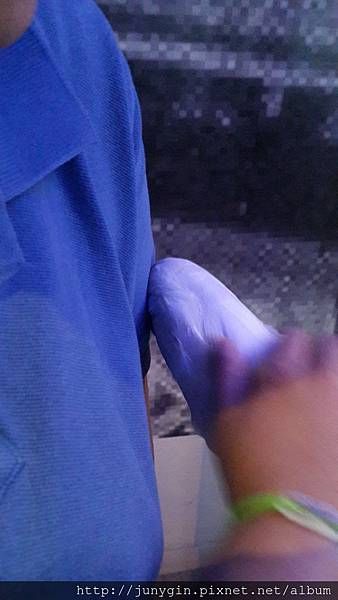 20131220_212944.jpg 20131220_212944.jpg