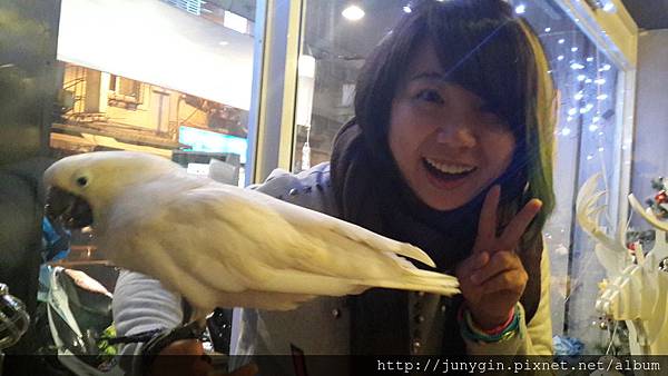 20131220_213108.jpg 20131220_213108.jpg