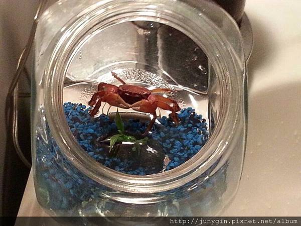 1387552519903.jpg 1387552519903.jpg