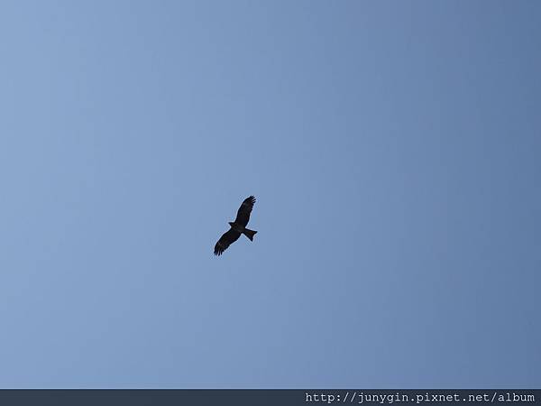 DSC00294.JPG DSC00294.JPG