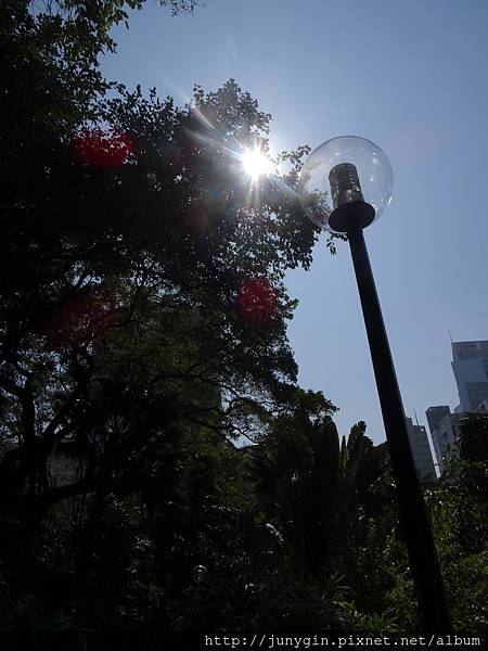 DSC00355.JPG DSC00355.JPG