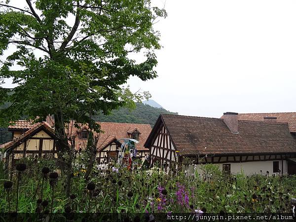 DSC02912.JPG DSC02912.JPG