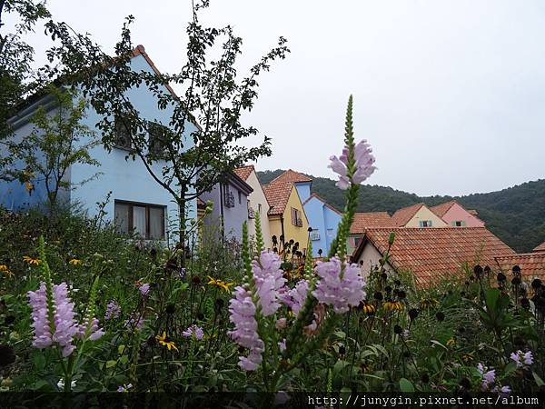 DSC02913.JPG DSC02913.JPG