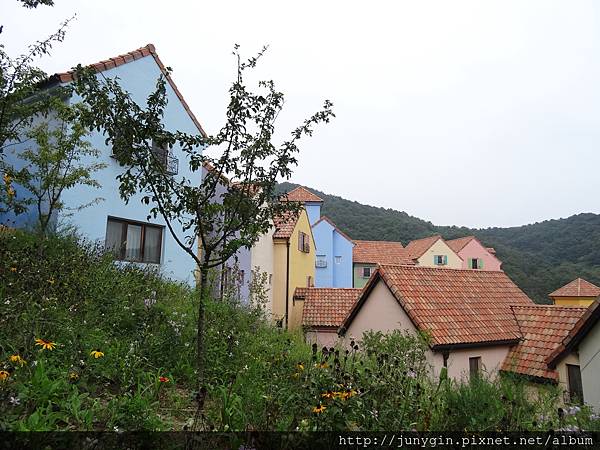 DSC02914.JPG DSC02914.JPG