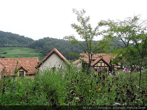 DSC02917.JPG DSC02917.JPG