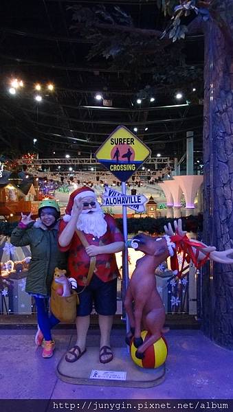 DSC02703.JPG DSC02703.JPG