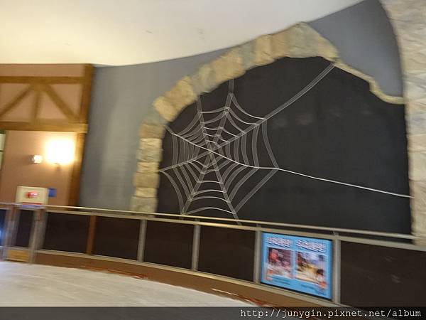 DSC02729.JPG DSC02729.JPG