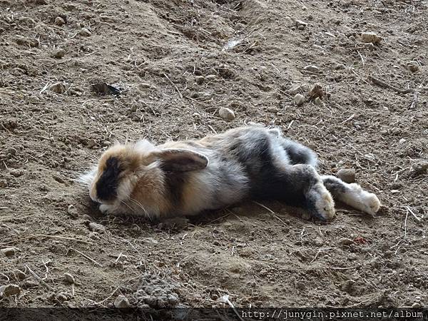 DSC02856.JPG DSC02856.JPG