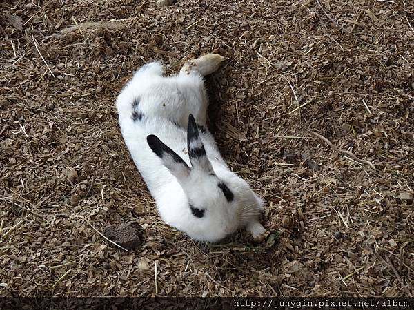 DSC02858.JPG DSC02858.JPG