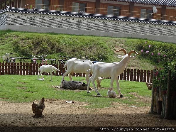 DSC02859.JPG DSC02859.JPG