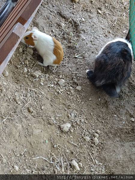 DSC02863.JPG DSC02863.JPG