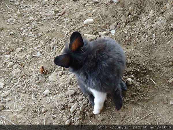 DSC02864.JPG DSC02864.JPG