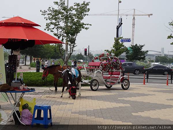 DSC02878.JPG DSC02878.JPG